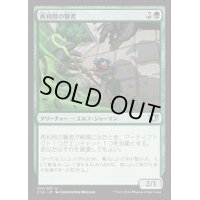 [EX+]再利用の賢者/Reclamation Sage《日本語》【Commander 2014】
