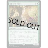 [EX+]若葉のドライアド/Tendershoot Dryad《日本語》【RIX】
