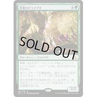 [EX+]若葉のドライアド/Tendershoot Dryad《日本語》【RIX】