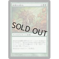 [EX+]滋養の群れ/Nourishing Shoal《日本語》【BOK】
