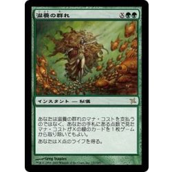 画像1: [PLD]滋養の群れ/Nourishing Shoal《日本語》【BOK】