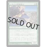 シラナの岩礁渡り/Silhana Ledgewalker《日本語》【GPT】