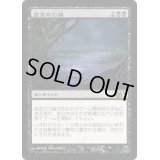 [HPLD]虚空の力線/Leyline of the Void《日本語》【M11】