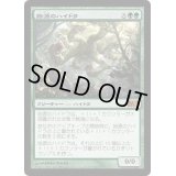 [EX+]始源のハイドラ/Primordial Hydra《日本語》【M13】