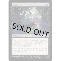 [PLD]苦花/Bitterblossom《日本語》【MOR】