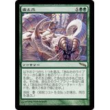 [EX+]歯と爪/Tooth and Nail《日本語》【MRD】
