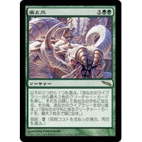 [PLD]歯と爪/Tooth and Nail《日本語》【MRD】