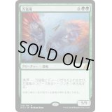 [EX+]万猛竜/Polyraptor《日本語》【RIX】