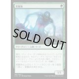 [EX+]実験体/Experiment One《日本語》【Commander 2015】