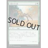 木霊の手の内/Kodama's Reach《日本語》【Commander 2016】