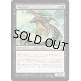 叫び大口/Shriekmaw《日本語》【Commander】