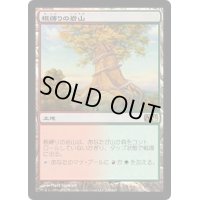 [HPLD]根縛りの岩山/Rootbound Crag《日本語》【M13】