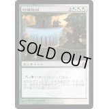 [EX]特権階級/Privileged Position《日本語》【RAV】