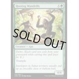 [EX+]わめき騒ぐマンドリル/Hooting Mandrills《英語》【UMA】