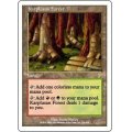 [PLD]カープルーザンの森/Karplusan Forest《日本語》【7ED】