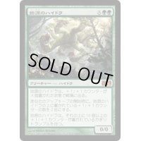 [EX]始源のハイドラ/Primordial Hydra《日本語》【M12】