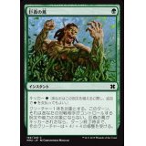 [EX+]巨森の蔦/Vines of Vastwood《日本語》【MM2】
