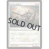 [EX+]純鋼の聖騎士/Puresteel Paladin《日本語》【NPH】