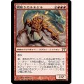[HPLD]鏡割りのキキジキ/Kiki-Jiki, Mirror Breaker《日本語》【CHK】