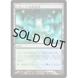 [EX+]シミックの成長室/Simic Growth Chamber《日本語》【DIS】