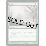 濃霧/Fog《日本語》【M12】