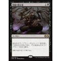 [EX+]悪魔の教示者/Demonic Tutor《日本語》【UMA】