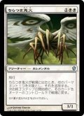 [EX+]ちらつき鬼火/Flickerwisp《日本語》【Commander 2013】