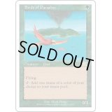 [PLD]極楽鳥/Birds of Paradise《日本語》【6ED】