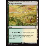 サングラスの大草原/Sungrass Prairie《英語》【Commander 2016】