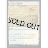 [EX+]サングラスの大草原/Sungrass Prairie《英語》【Commander 2016】