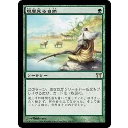 画像1: [EX]垣間見る自然/Glimpse of Nature《日本語》【CHK】