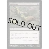集団疾病/Illness in the Ranks《日本語》【GTC】