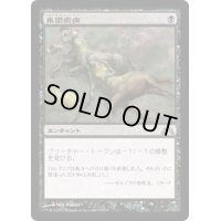 集団疾病/Illness in the Ranks《日本語》【GTC】