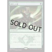 硬化した鱗/Hardened Scales《日本語》【KTK】
