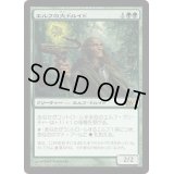 [EX+]エルフの大ドルイド/Elvish Archdruid《日本語》【M10】
