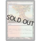 [PLD]根縛りの岩山/Rootbound Crag《日本語》【M11】
