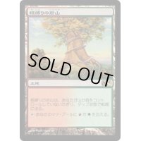 [PLD]根縛りの岩山/Rootbound Crag《日本語》【M11】