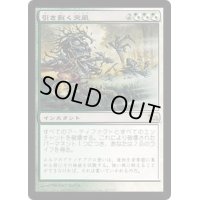 [HPLD]引き裂く突風/Fracturing Gust《日本語》【SHM】