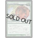 スパイクの飼育係/Spike Feeder《日本語》【Commander】