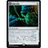 原初の呪物/Primal Amulet《日本語》【XLN】