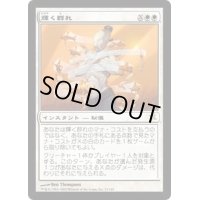 [HPLD]輝く群れ/Shining Shoal《日本語》【BOK】