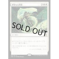 [EX+]神聖なる埋葬/Hallowed Burial《日本語》【CN2】