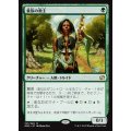 [EX]貴族の教主/Noble Hierarch《日本語》【MM2】