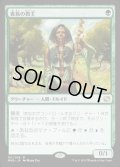 [EX]貴族の教主/Noble Hierarch《日本語》【MM2】