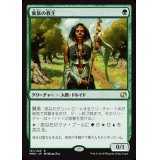 [EX+]貴族の教主/Noble Hierarch《日本語》【MM2】