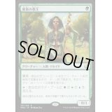 [HPLD]貴族の教主/Noble Hierarch《日本語》【MM2】