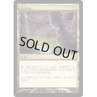 [PLD]反射池/Reflecting Pool《日本語》【SHM】