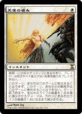 [PLD]天使の嗜み/Angel's Grace《日本語》【TSP】