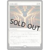 [EX+]光輝の運命/Radiant Destiny《日本語》【RIX】