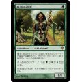 [EX]貴族の教主/Noble Hierarch《日本語》【CON】